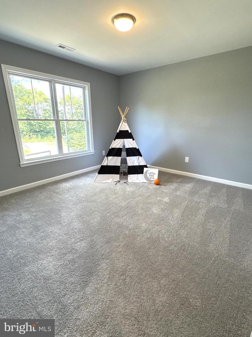 15264 Nalles photo 46