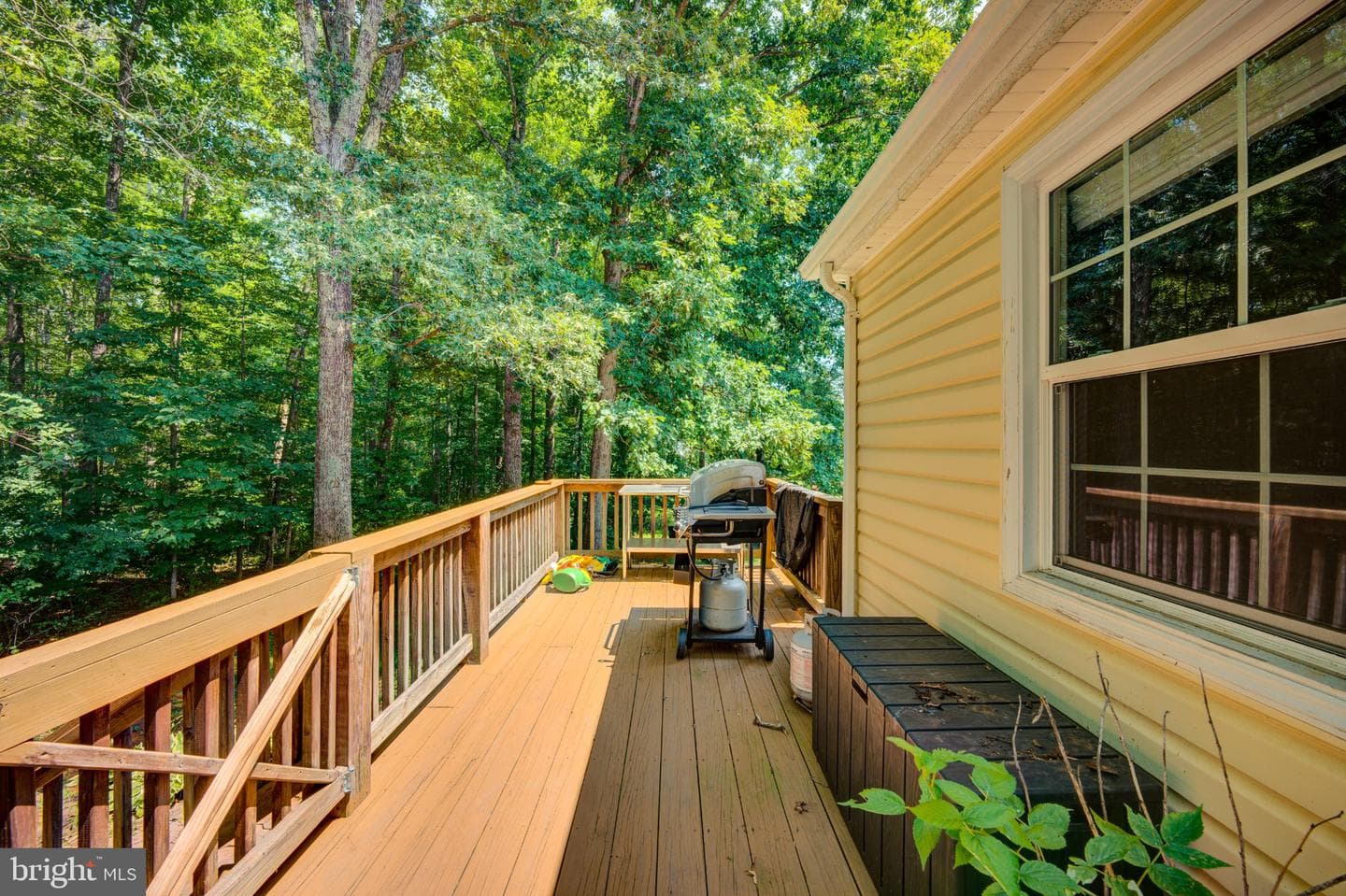 9595 Roys Lane photo 46