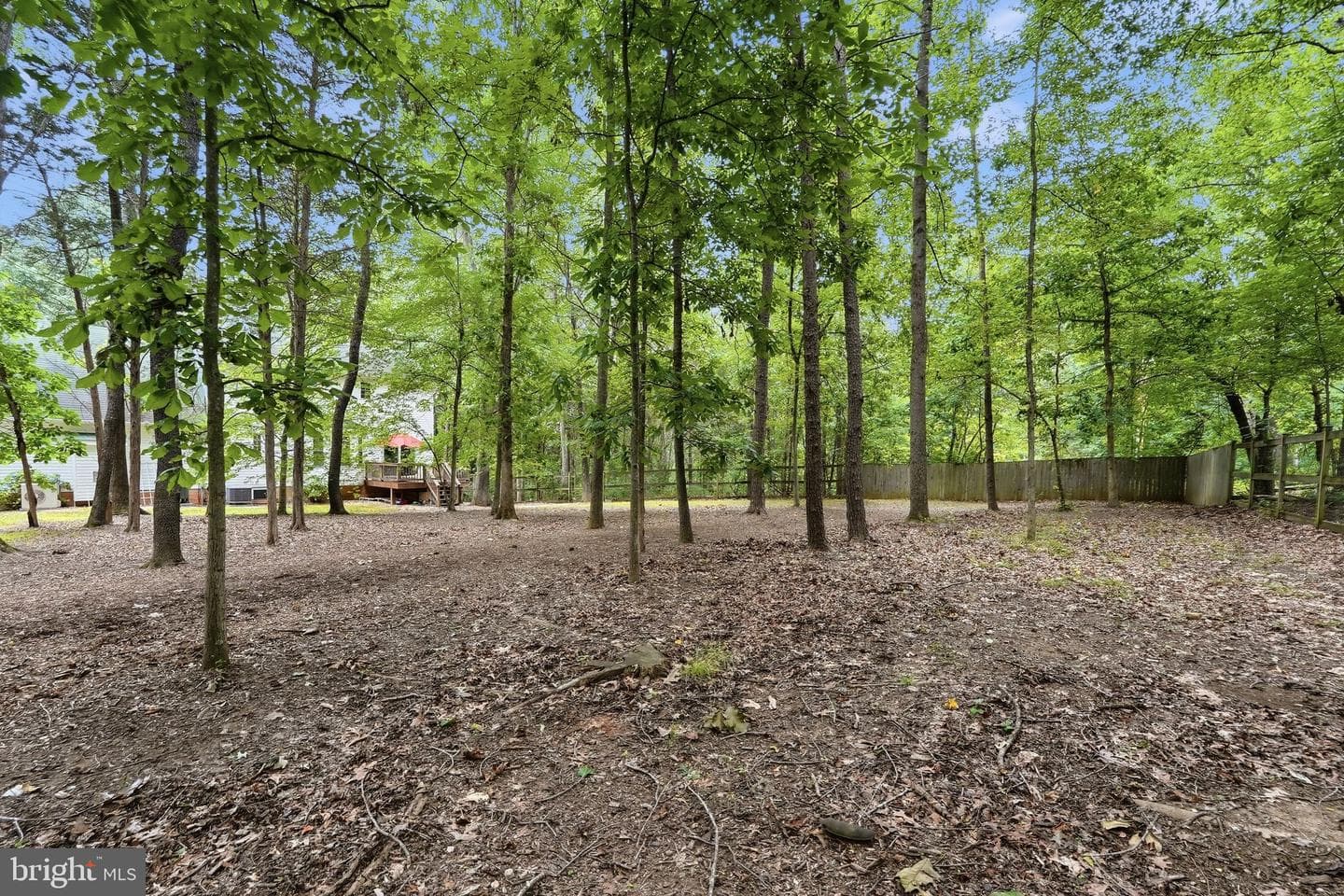 9088 Woodbrook Lane photo 48