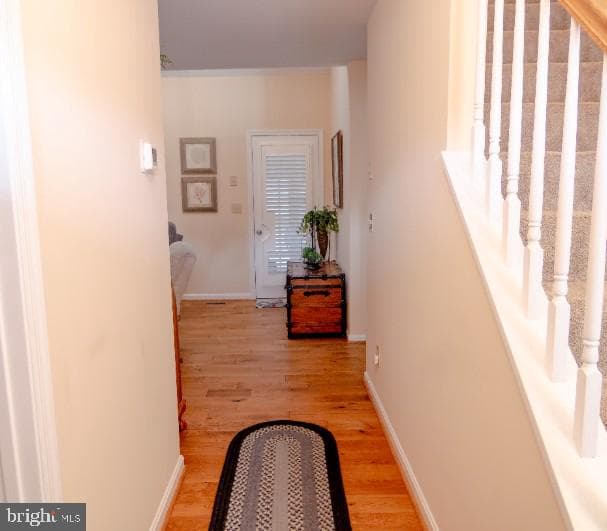 841 Mulberry Lane photo 11