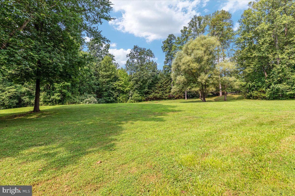 15638 White Tail Lane photo 43