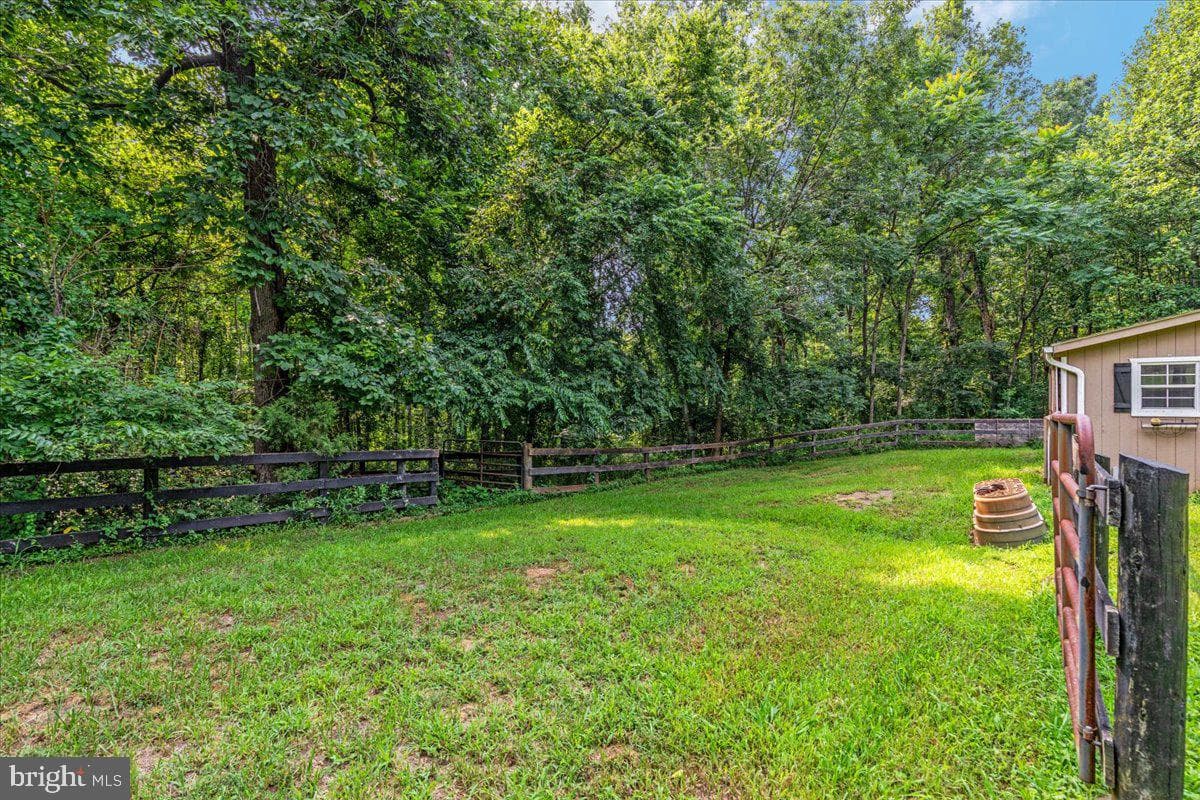 15638 White Tail Lane photo 44