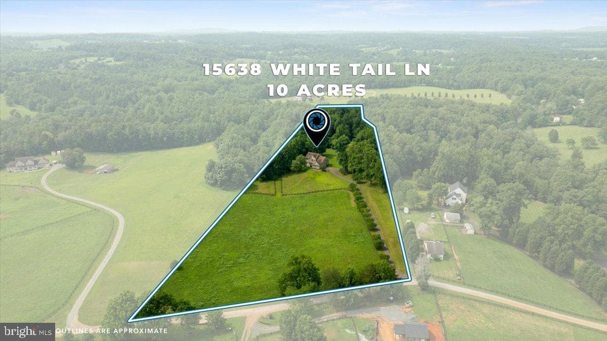 15638 White Tail Lane photo 60