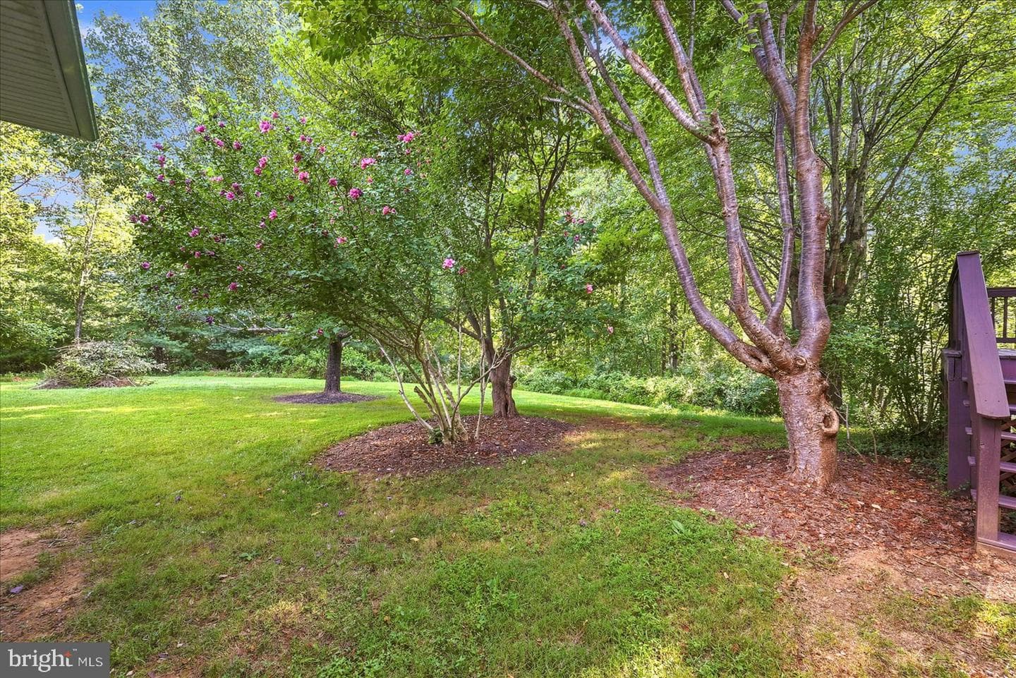 13240 Windmill Way photo 30