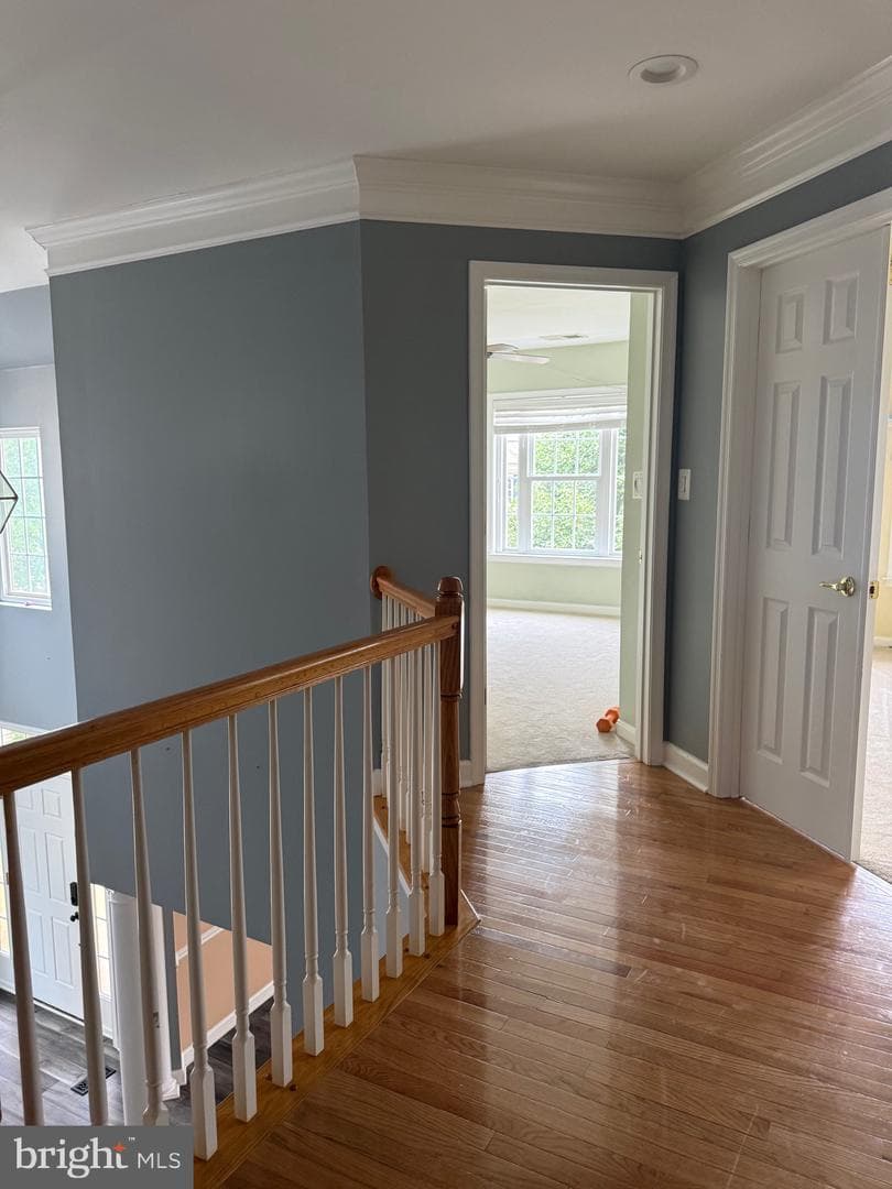 121 King Edward Court photo 16