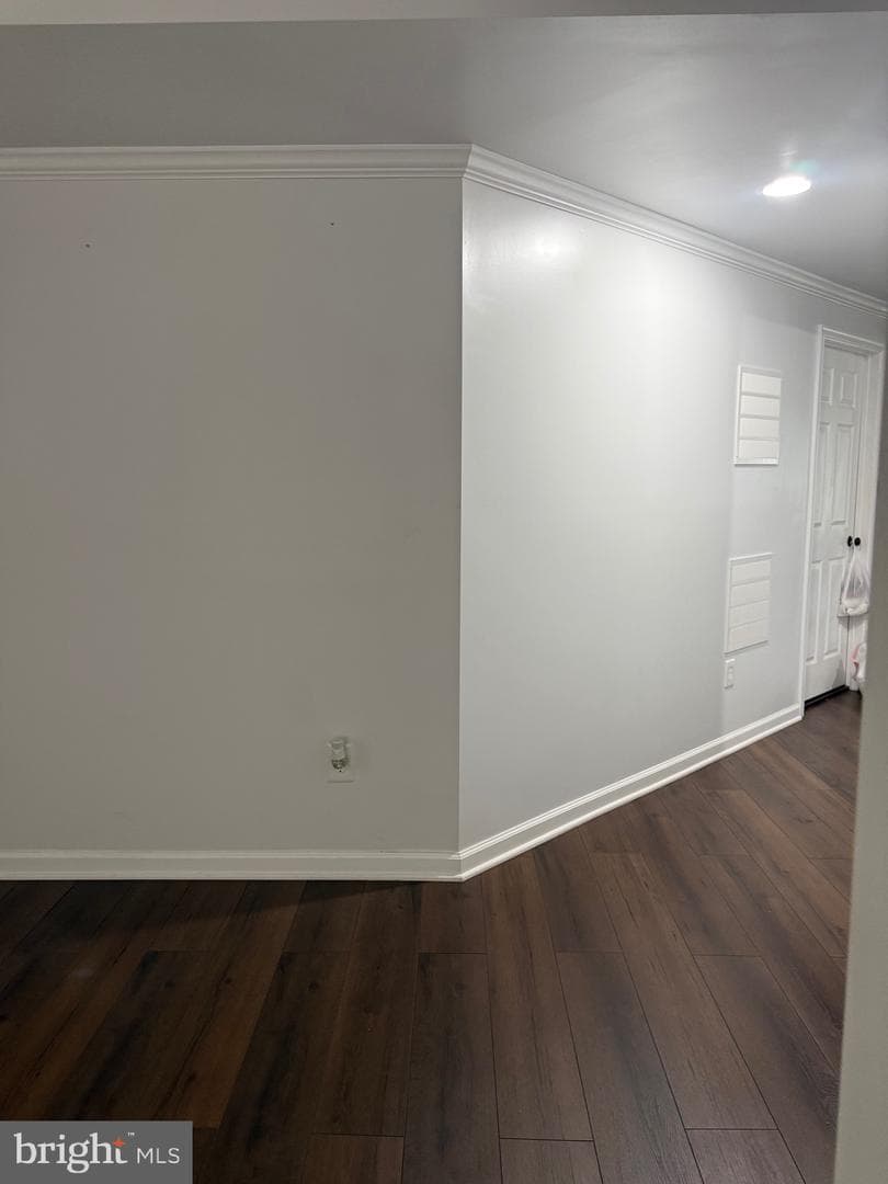 121 King Edward Court photo 19