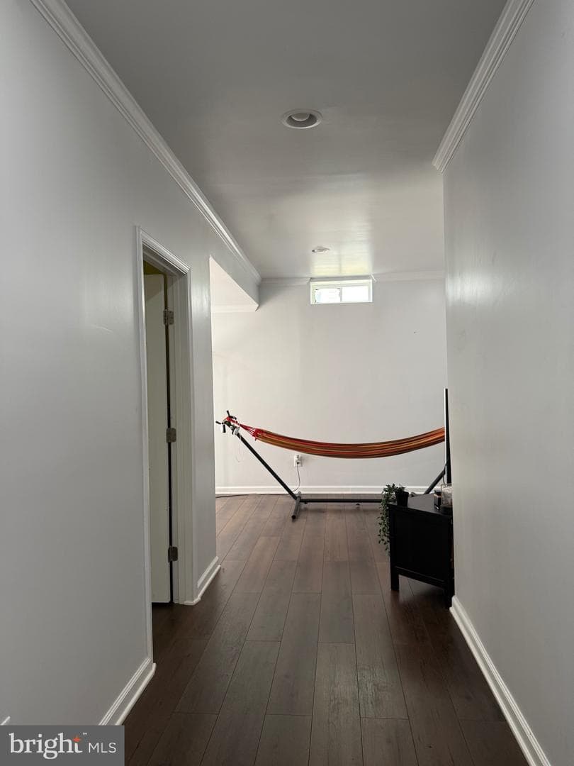 121 King Edward Court photo 22