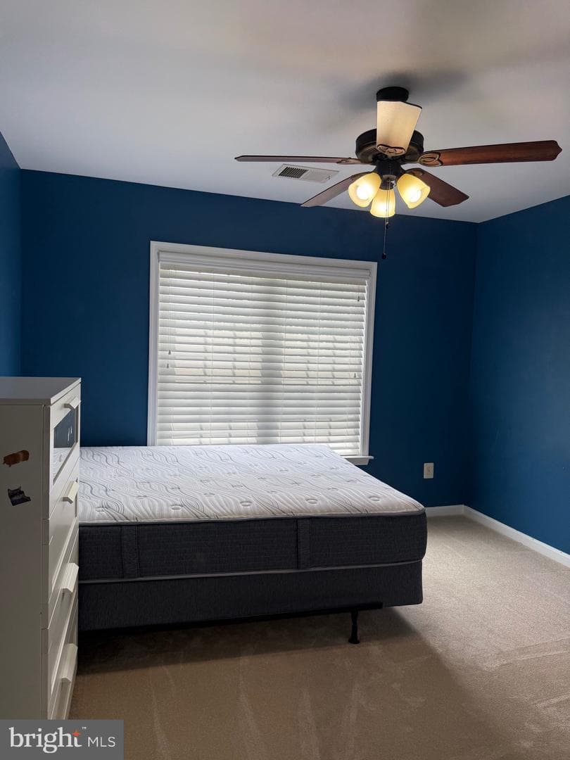 121 King Edward Court photo 38