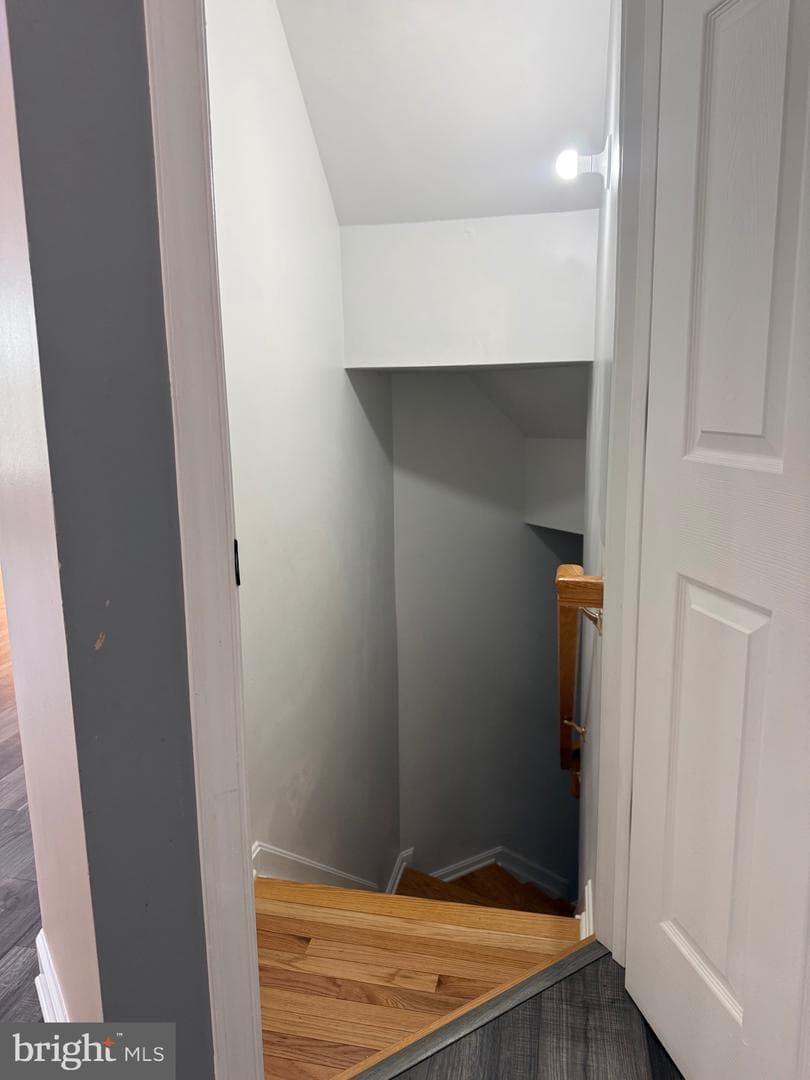 121 King Edward Court photo 39