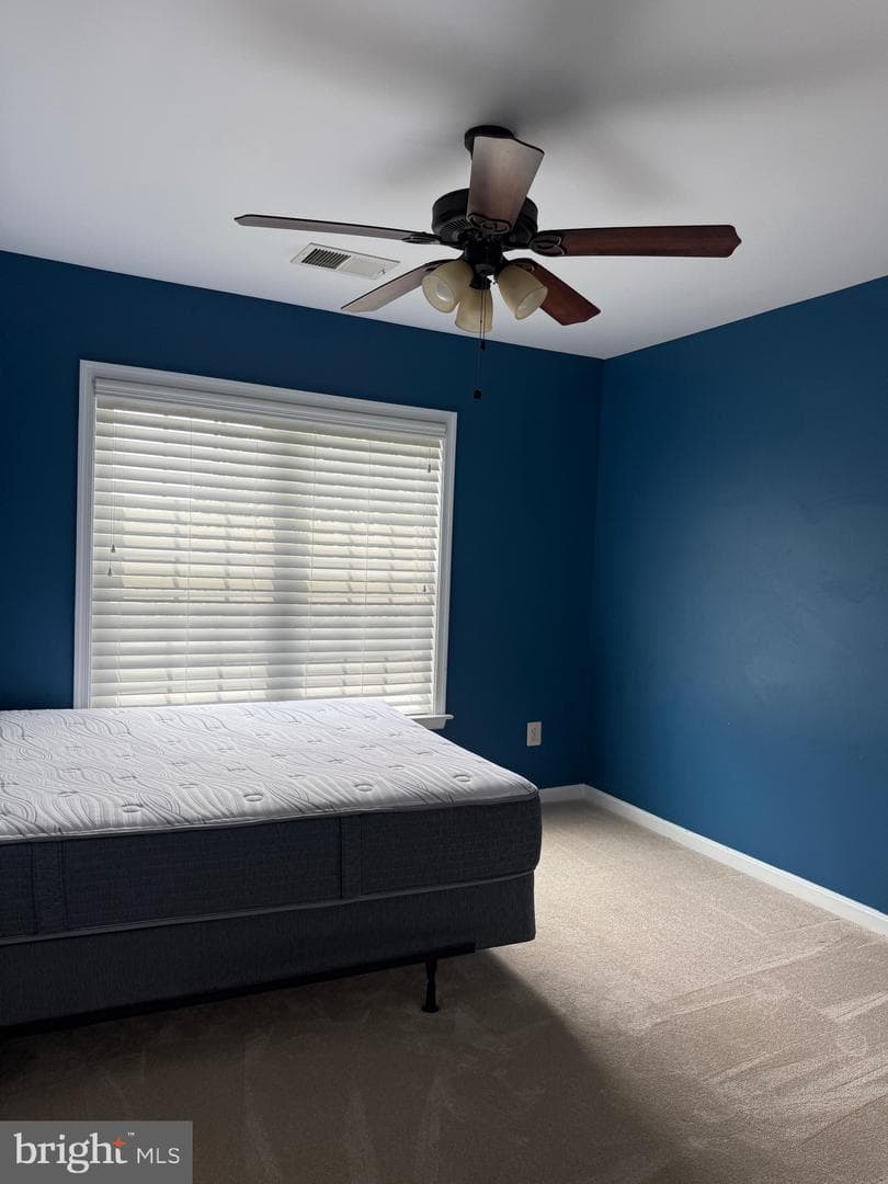 121 King Edward Court photo 41