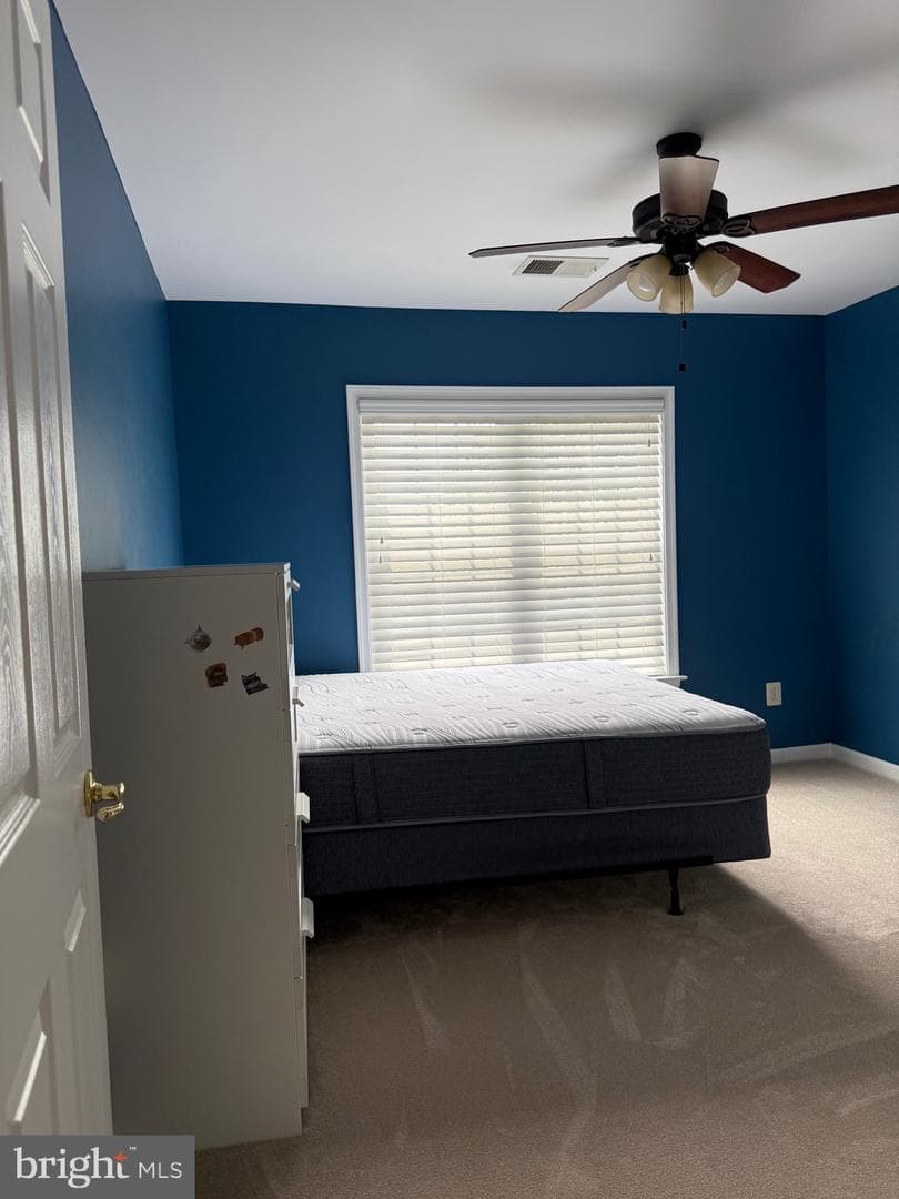 121 King Edward Court photo 42