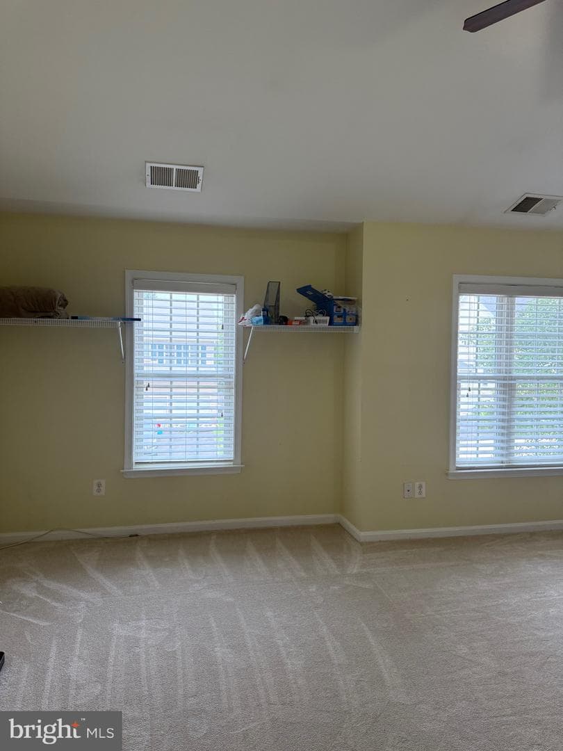 121 King Edward Court photo 49