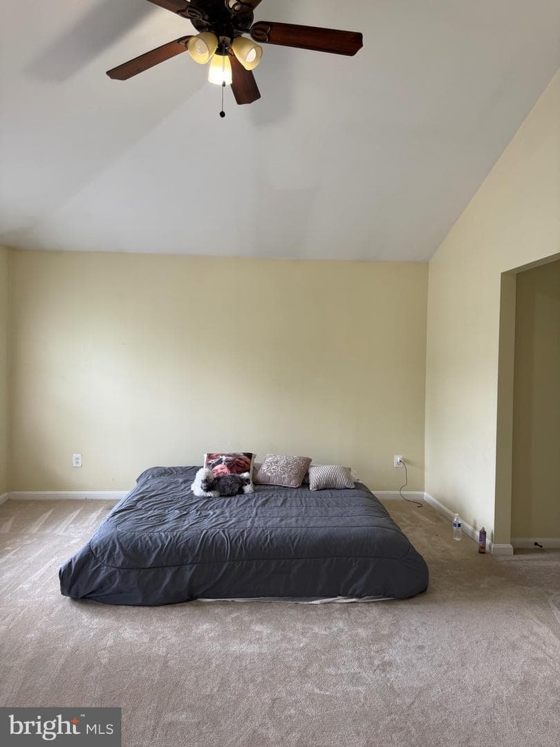 121 King Edward Court photo 50