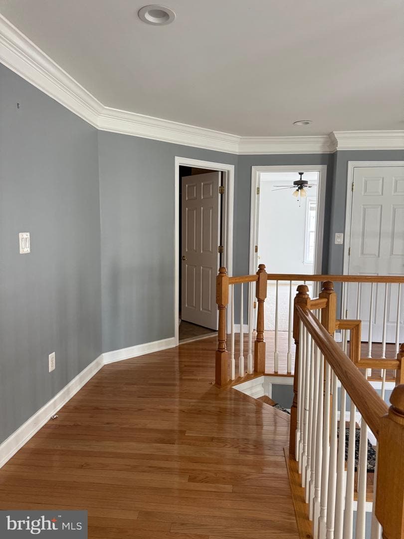 121 King Edward Court photo 55