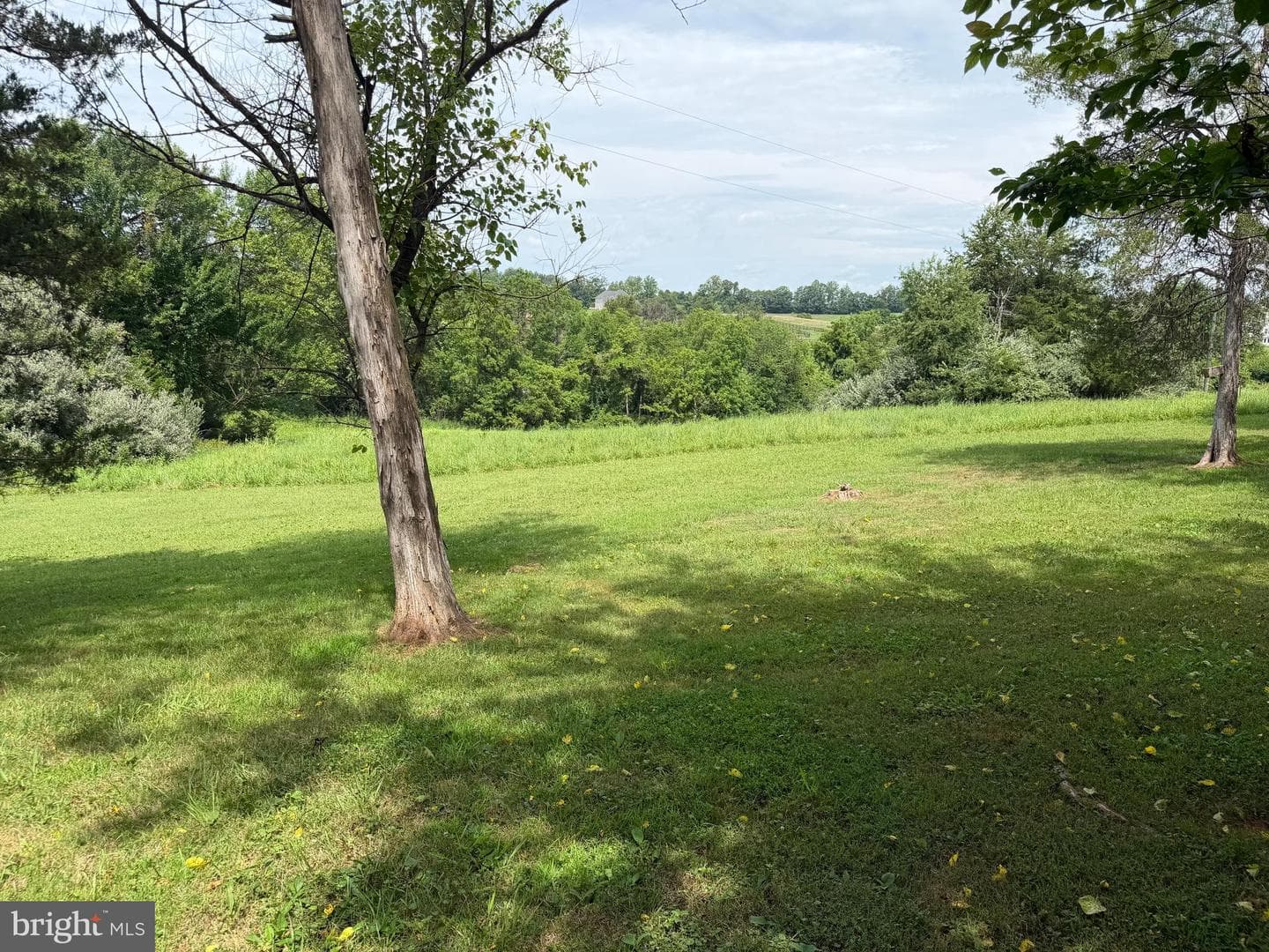 16643 Bleak Hill Road photo 4