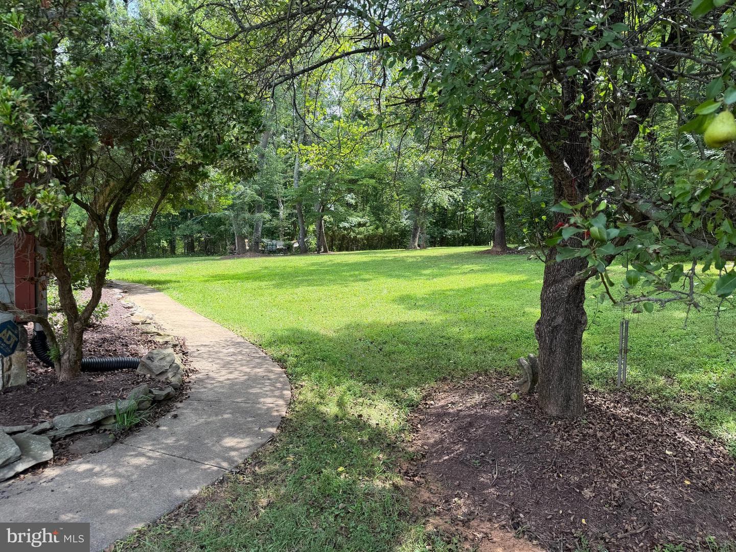 16643 Bleak Hill Road photo 5
