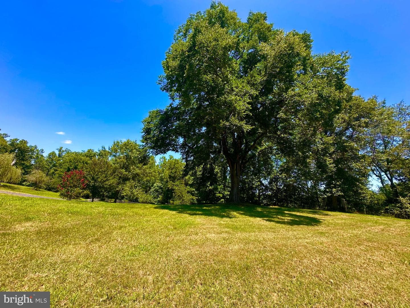 10367 Hidden Lake Lane photo 4