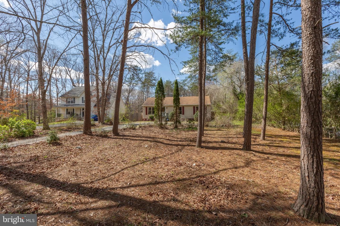 215 Marday Drive photo 8