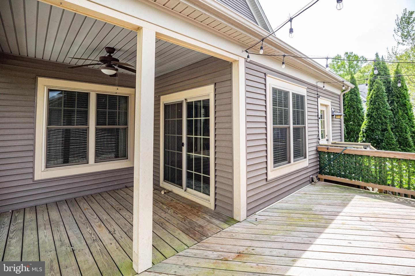 7109 Azalea Drive photo 15