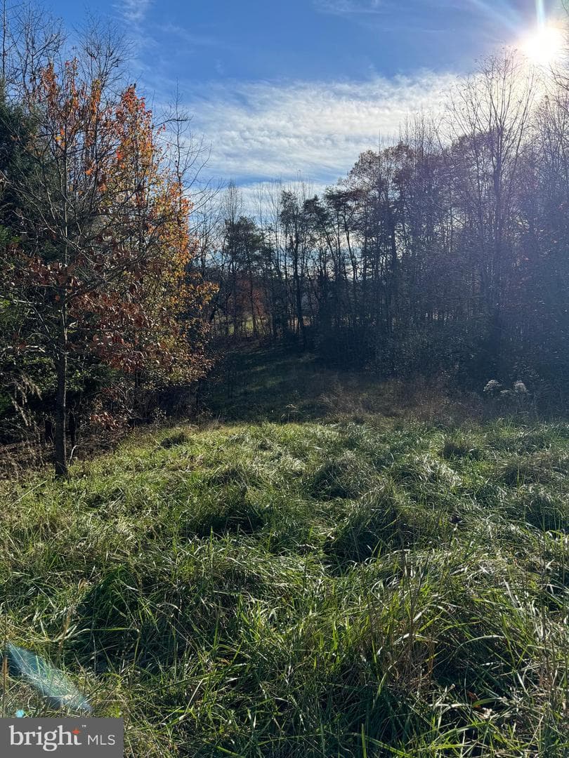 14423 Long Branch Road photo 13