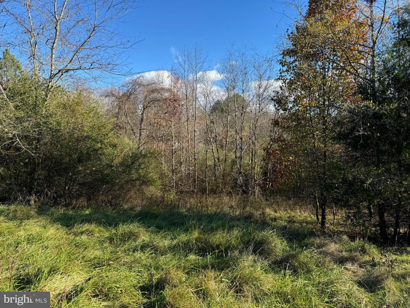 14423 Long Branch Road photo 14