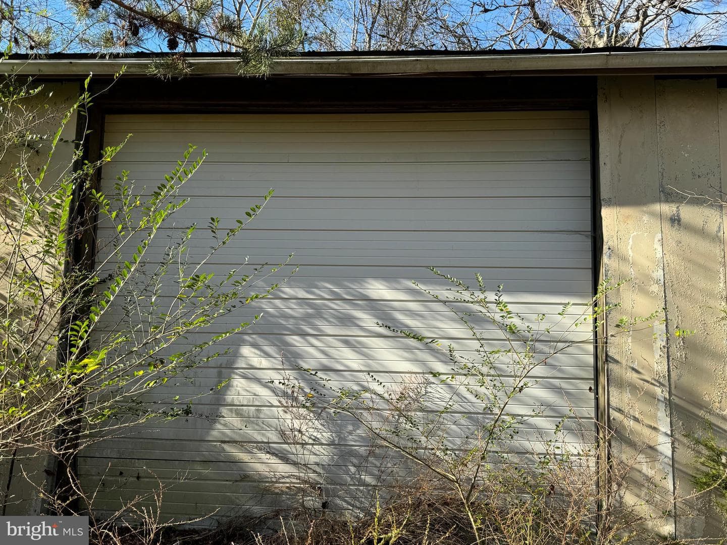 14423 Long Branch Road photo 16