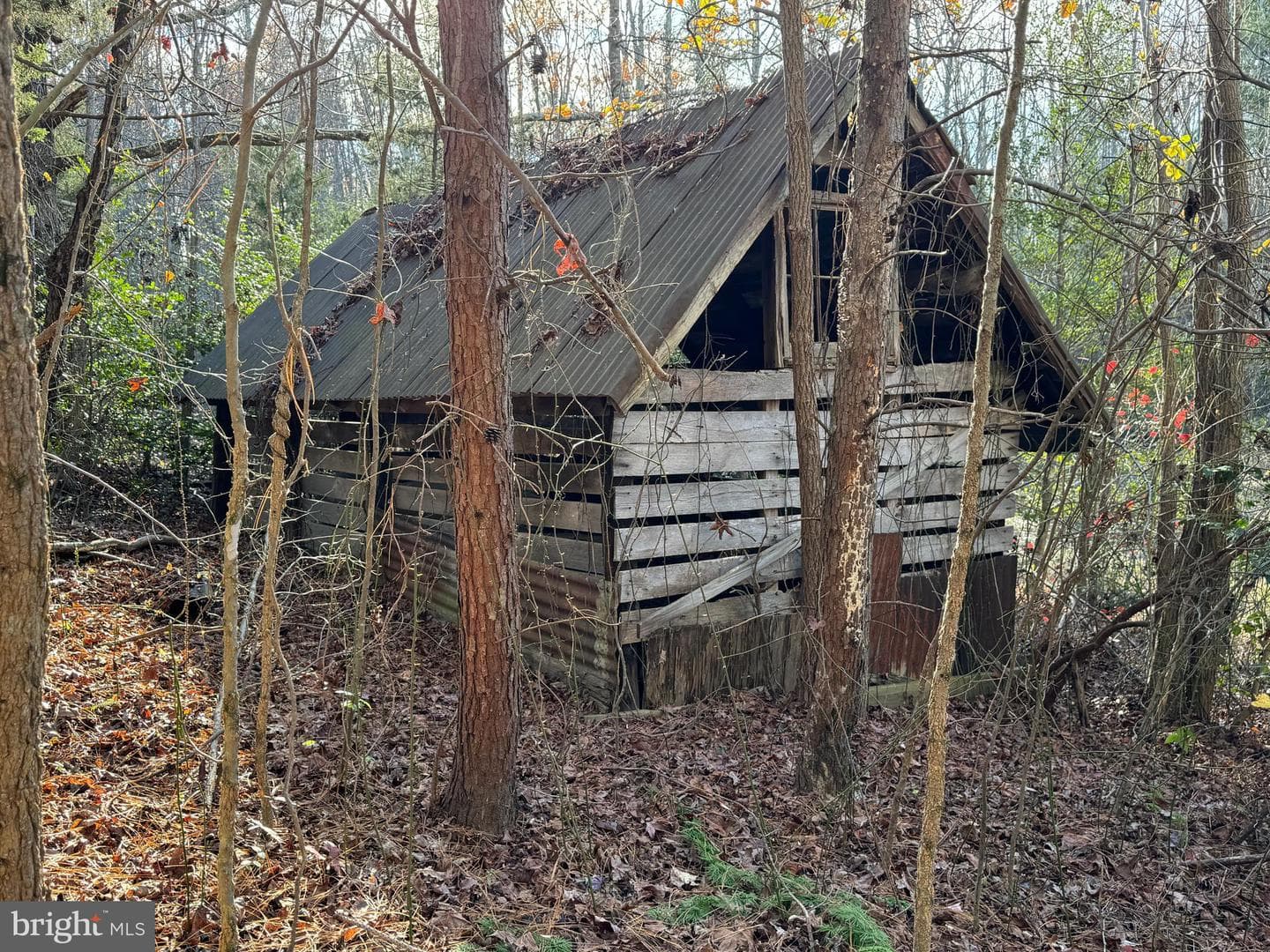 14423 Long Branch Road photo 17
