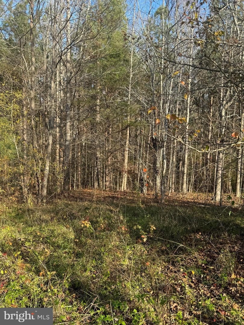 14423 Long Branch Road photo 18