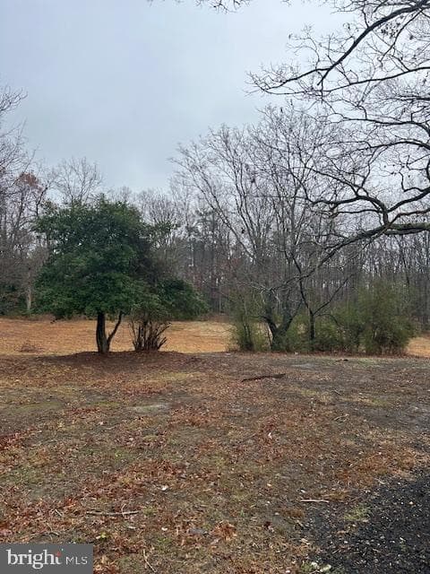 6291 Frazier photo 19
