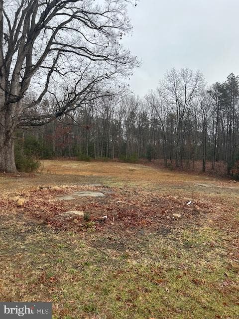 6291 Frazier photo 21