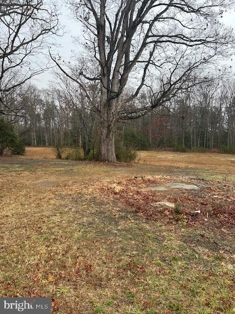 6291 Frazier photo 22