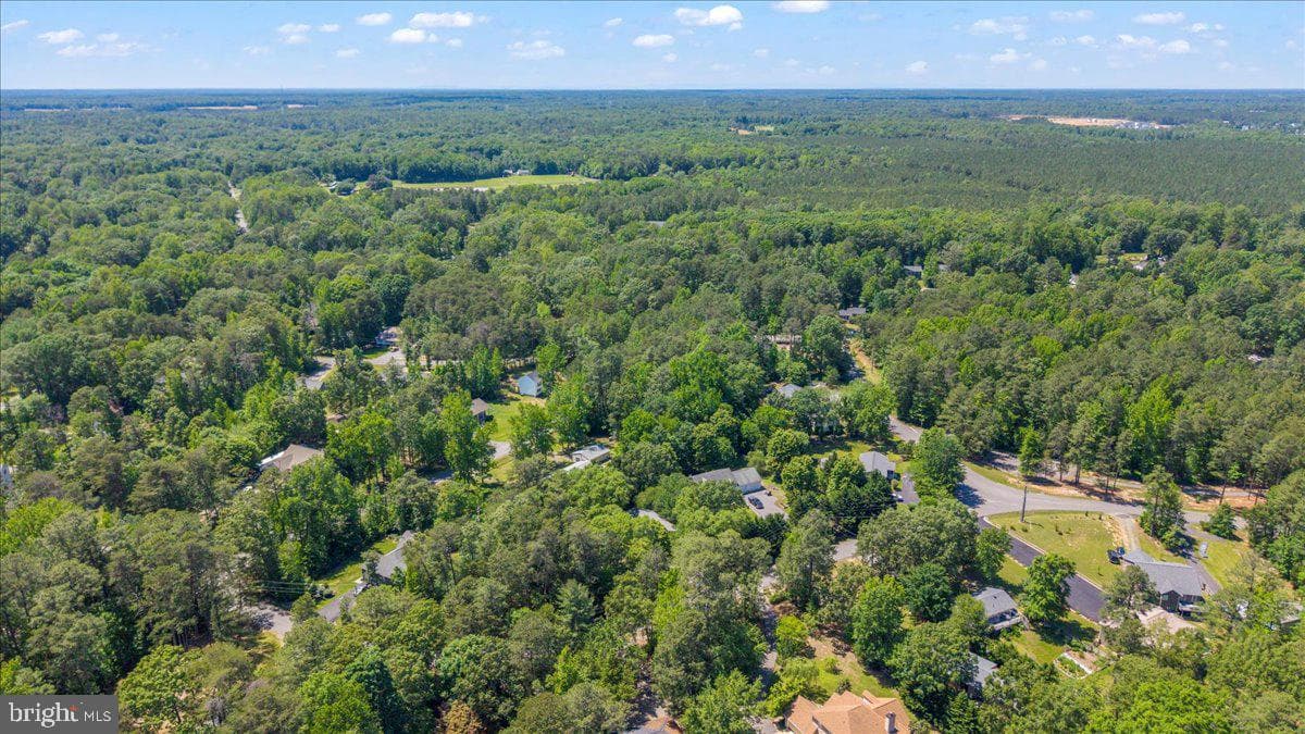 803 Lake Caroline Drive photo 18