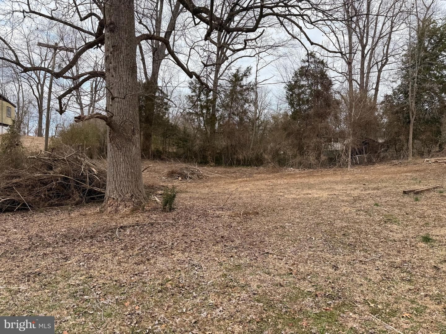 13744 Long Branch Road photo 19