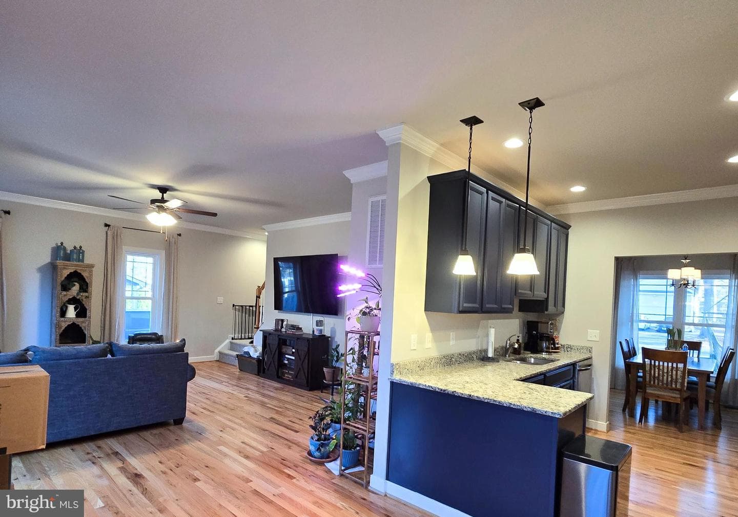 423 Dorset Drive photo 16