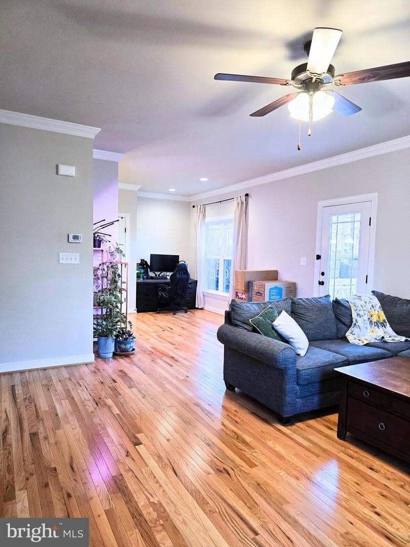 423 Dorset Drive photo 22