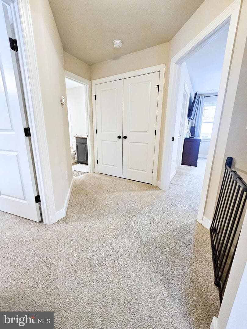 423 Dorset Drive photo 27