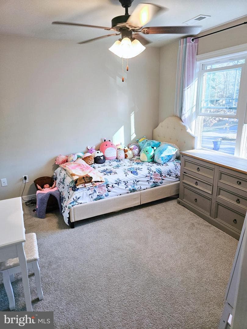 423 Dorset Drive photo 34