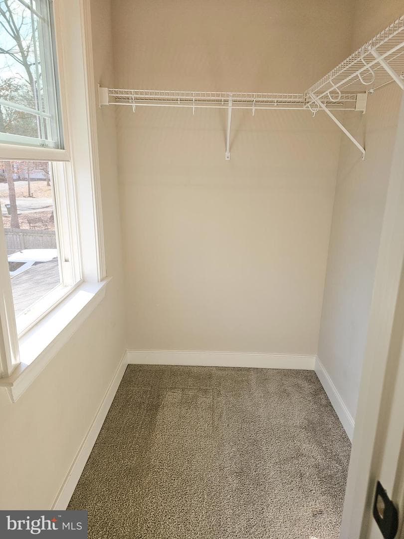 423 Dorset Drive photo 35