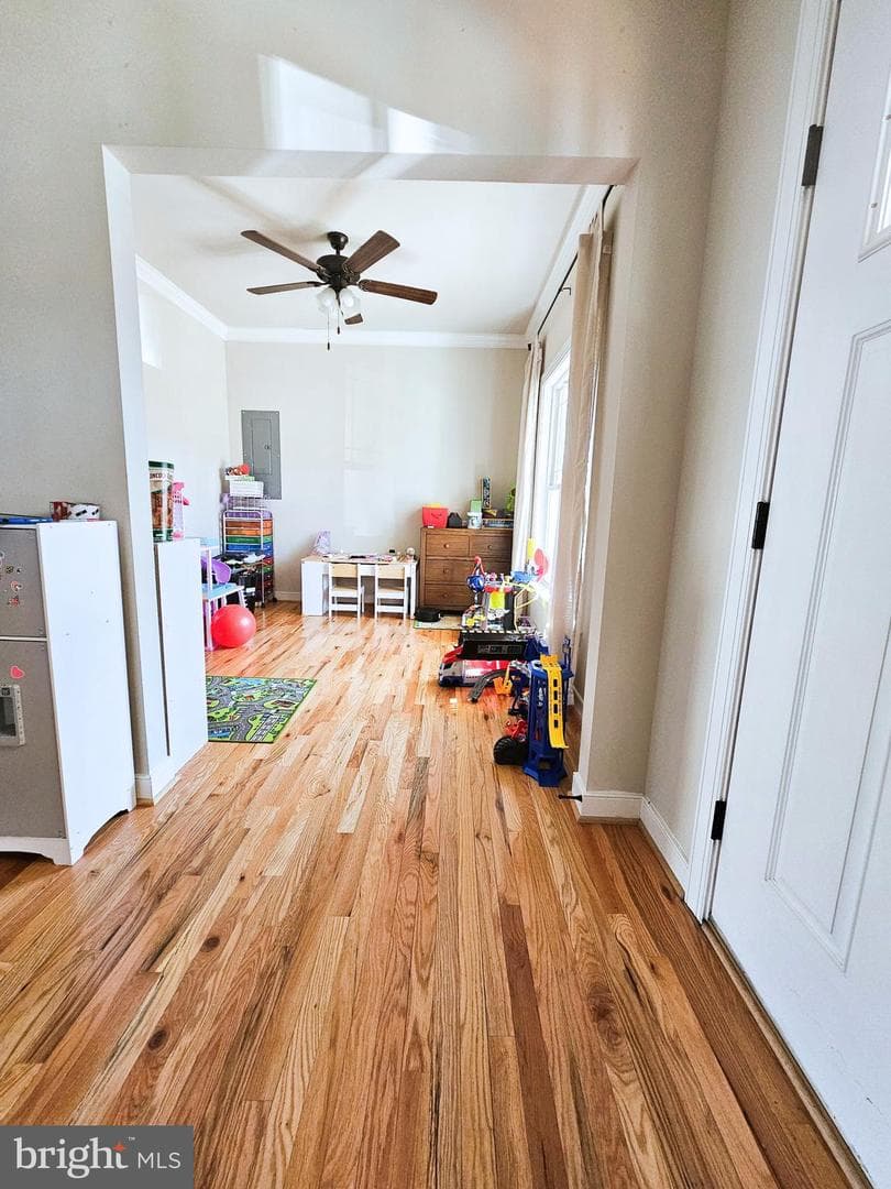 423 Dorset Drive photo 4