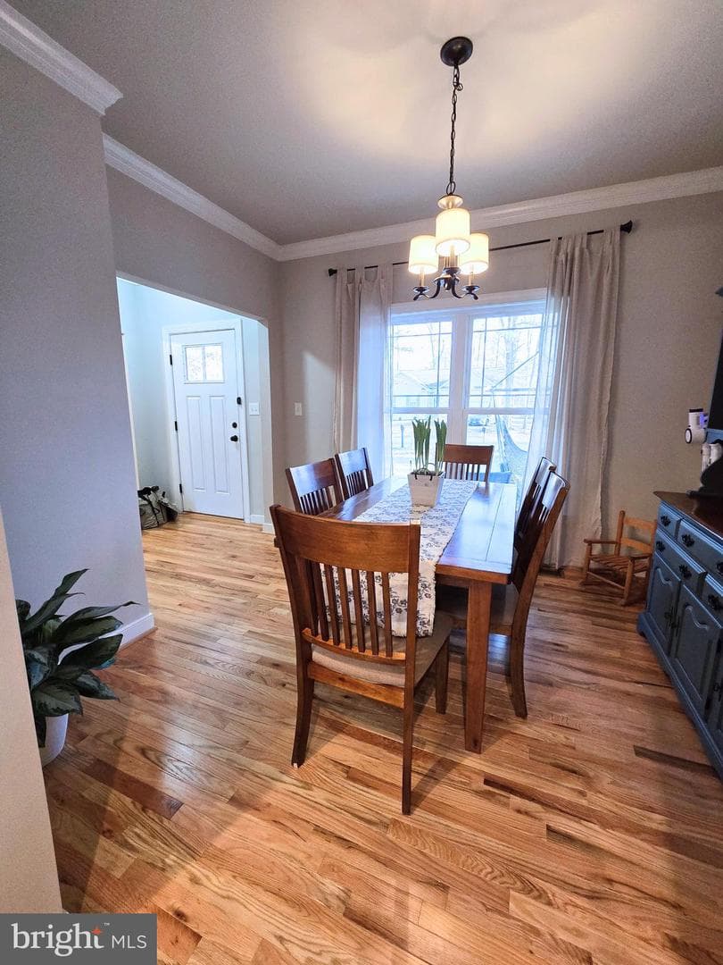 423 Dorset Drive photo 5