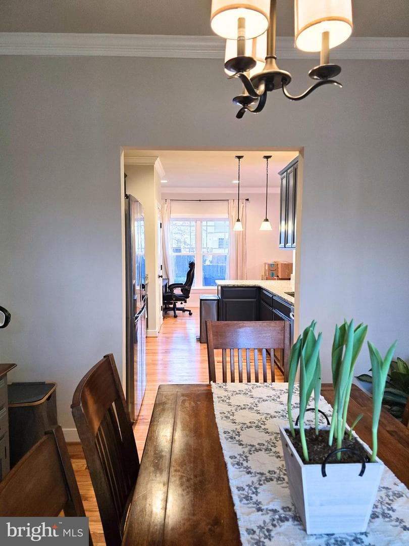 423 Dorset Drive photo 6
