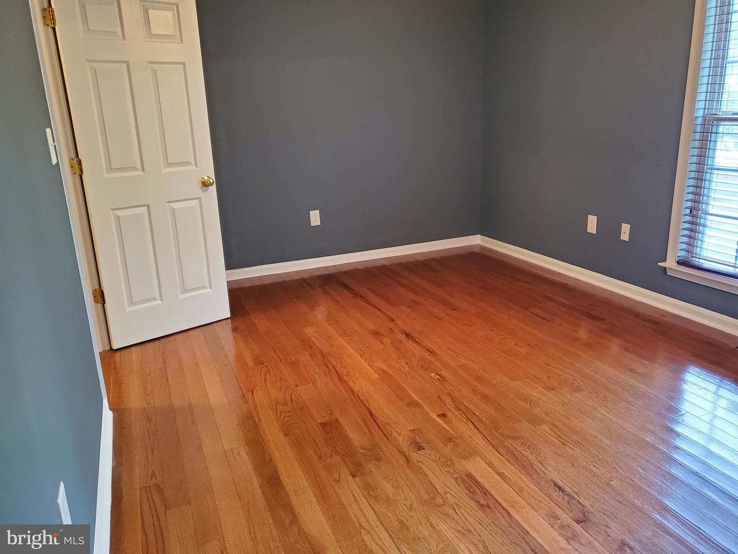 229 Stafford Drive photo 20