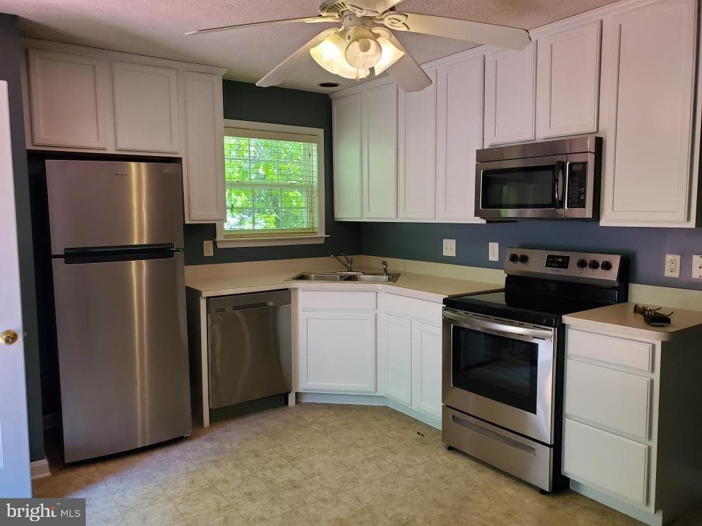 229 Stafford Drive photo 4