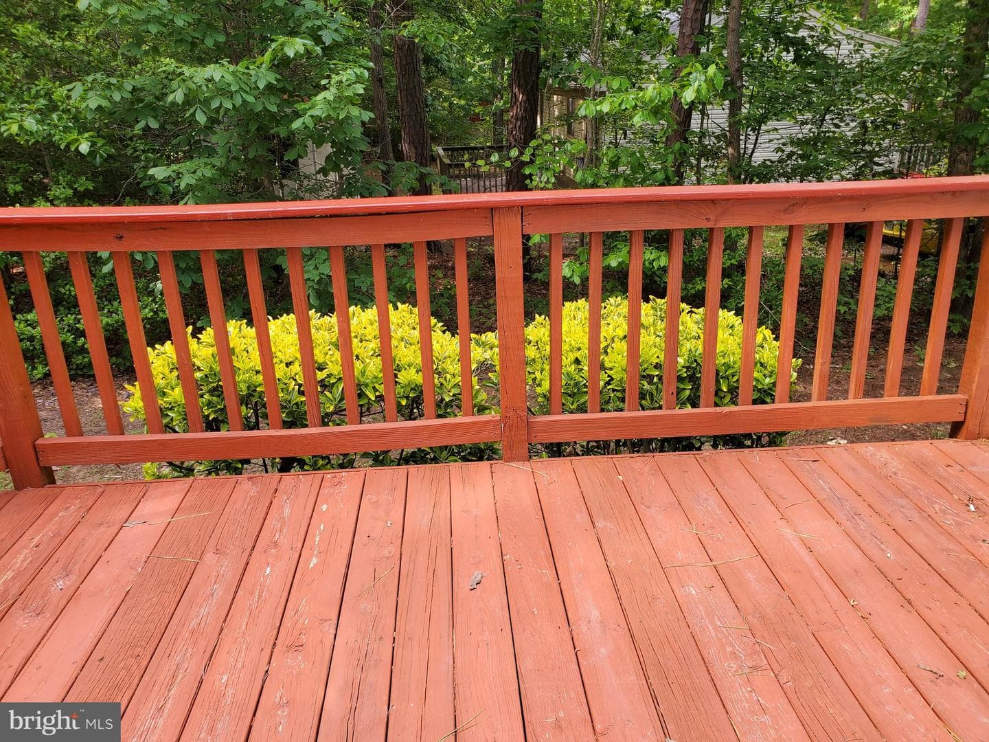 229 Stafford Drive photo 47