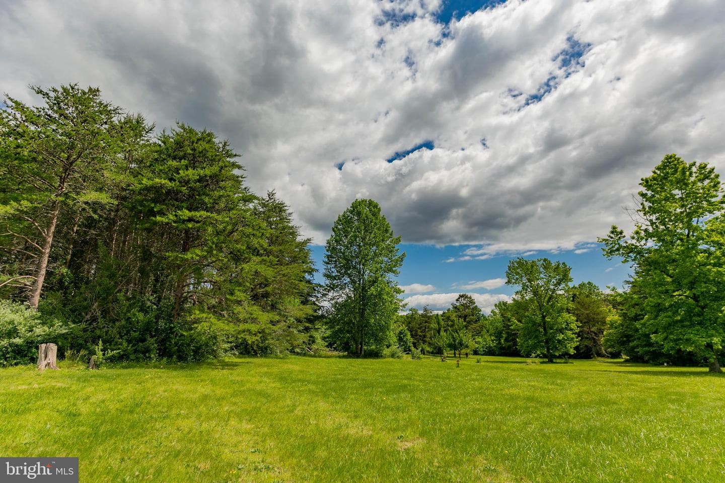 19083 Country Road photo 46