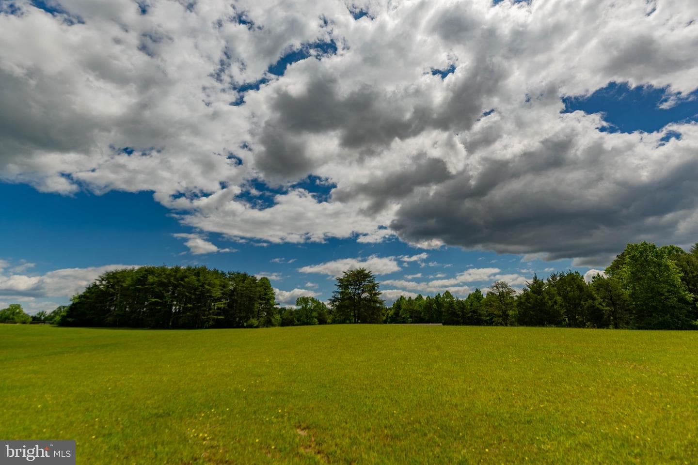 19083 Country Road photo 51