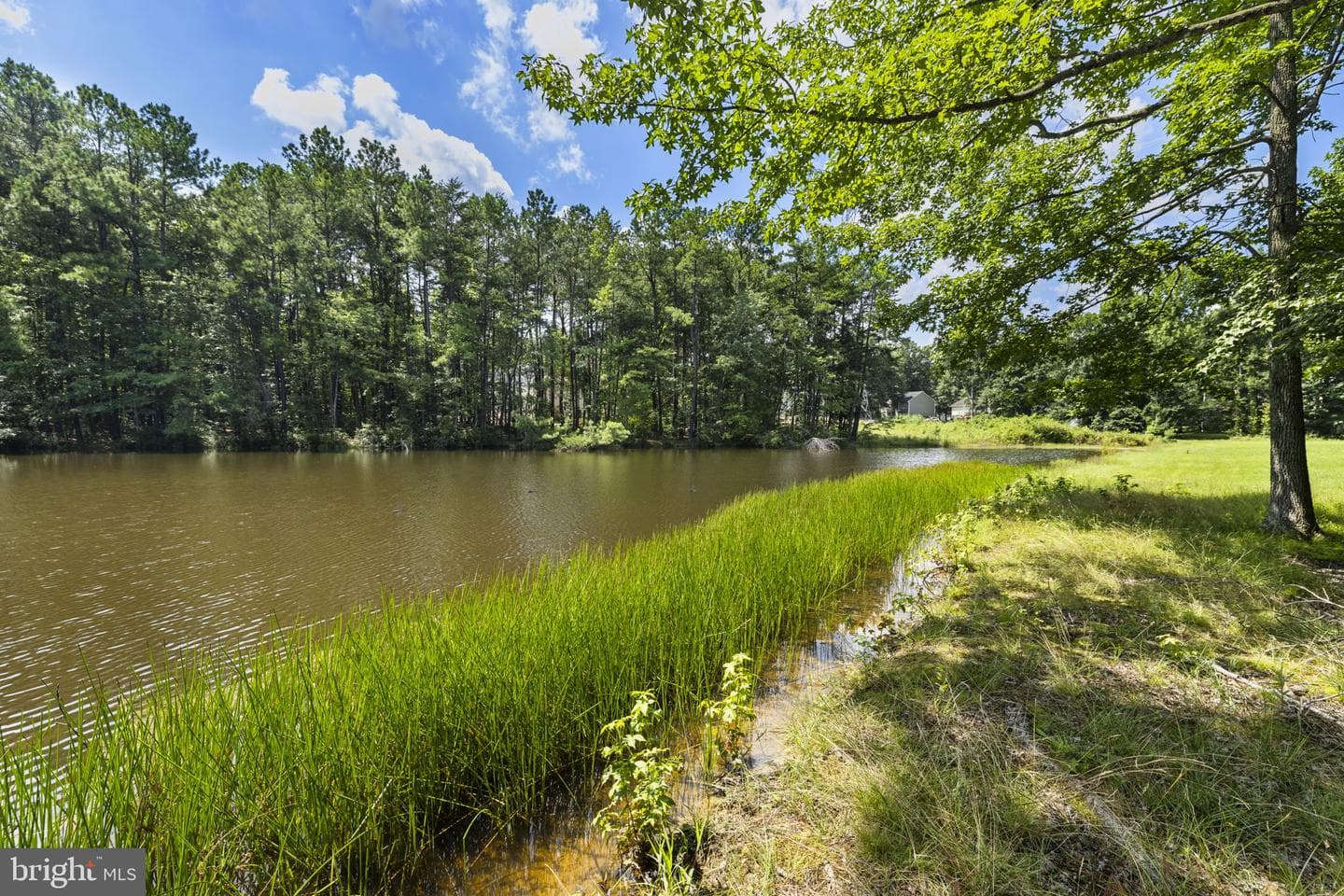 64 Bishop Cove photo 28
