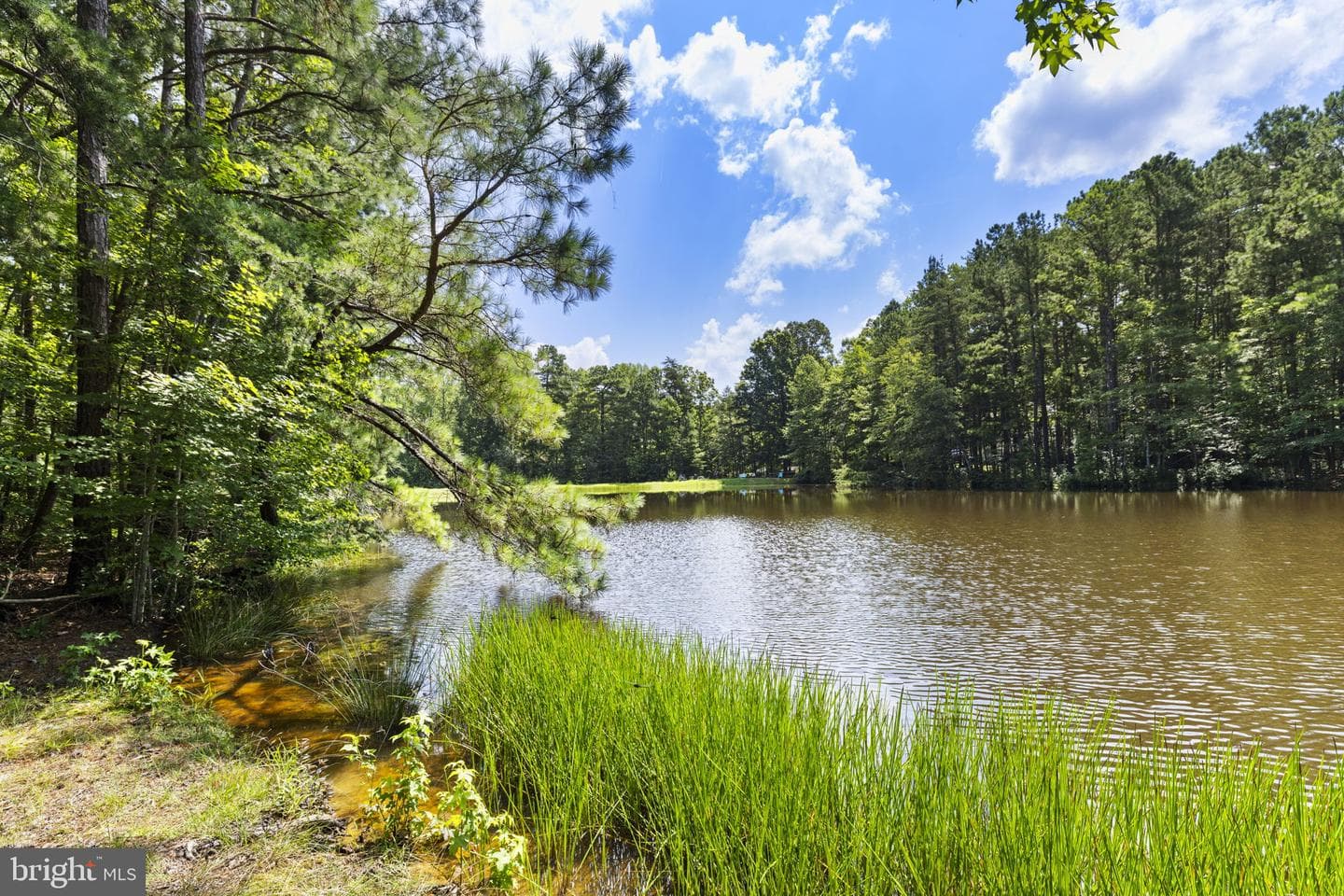 64 Bishop Cove photo 29