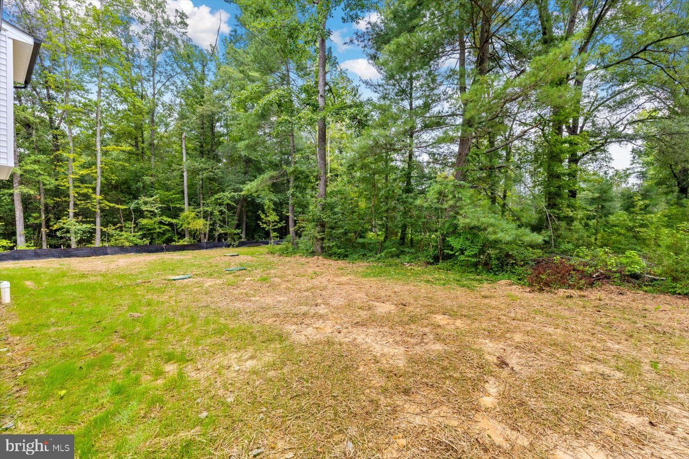 15439 Paige Road photo 37