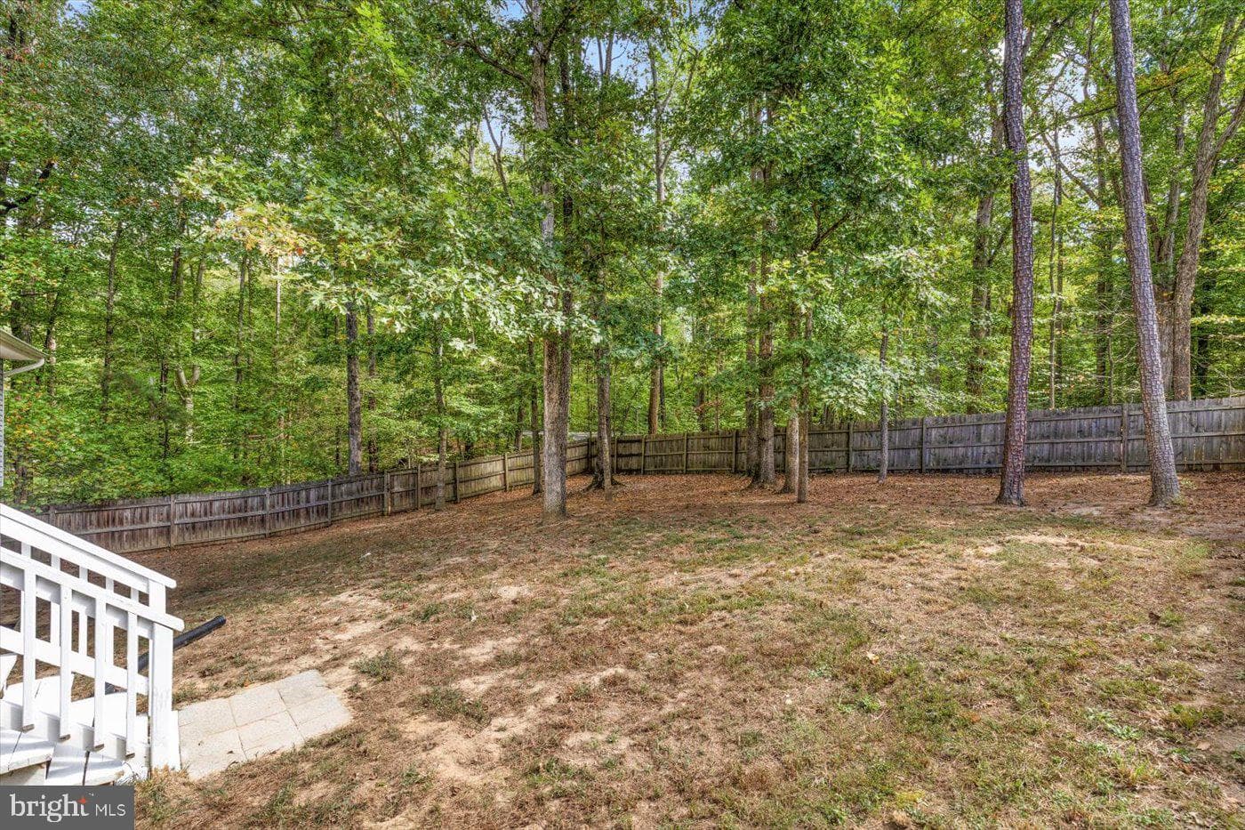 975 Swan Lane photo 5